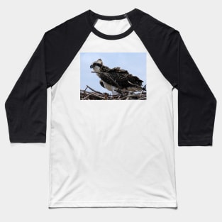 Young Osprey on Nest Baseball T-Shirt